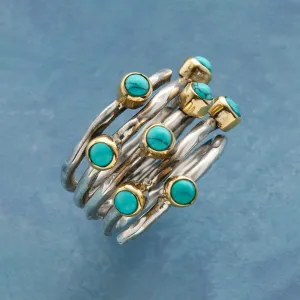 Twiggy Turquoise Ring